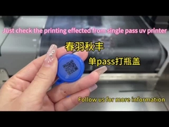 Przemysł Drukarka UV jednoprzechodnia Drukarka szerokokształtowa Drukarka wodoodporna