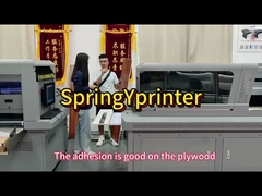 Wielofunkcyjna 1300kg Rich G5/G6 Dźwięk z LED Light UV Printer